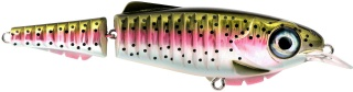 0001_Spro_Ripple_Profighter_145_MW___DD_[Rainbow_Trout].jpg